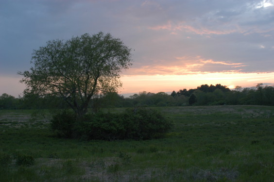 Trustom Pond NWR